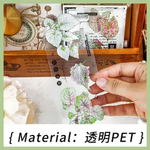 植物系列 透明防水貼紙 手作素材貼紙包(手帳貼 貼紙包 PET貼紙)