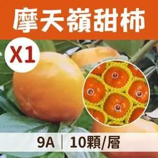 摩天嶺甜柿9A(10顆/層)