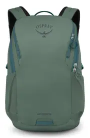 Osprey Astronova Laptop Backpack in Pine Leaf Green at Nordstrom One Size