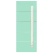 Hume 2040 x 820 x 40mm Entrance Door Linear G2 Glass XLR120