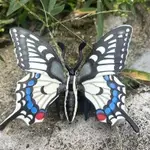 法國PAPO品牌新品仿真蝴蝶彩蝶昆蟲模型收藏