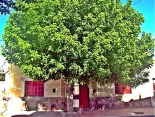 Hostel Casa Arbol