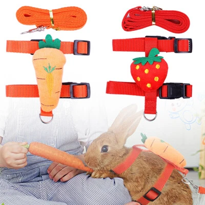 Rabbit Harness And Lead Small Animals Pet Vest Leash Set Squirrel Ferret Hamster