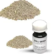 Dill Seed Essential Oil / 100% Pure Dill Seed Undiluted Essential Oil Premium Quality (10 ML, NATURAL)