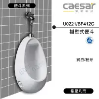 在飛比找Yahoo!奇摩拍賣優惠-附發票 含稅 CAESAR凱撒  掛壁式便斗 U0221/B