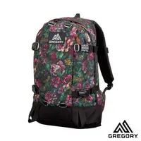 在飛比找樂天市場購物網優惠-├登山樂┤美國GREGORY ALL DAY 日系休閒背包2