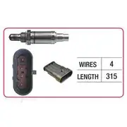 RAE Oxygen Sensor - OX575