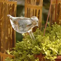 在飛比找蝦皮購物優惠-桃園公司貨+免運✨透明玻璃小鳥懶人澆花器創意裝飾盆栽多肉滴水