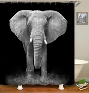 Black And White Elephant Photoshoot Shower Curtain