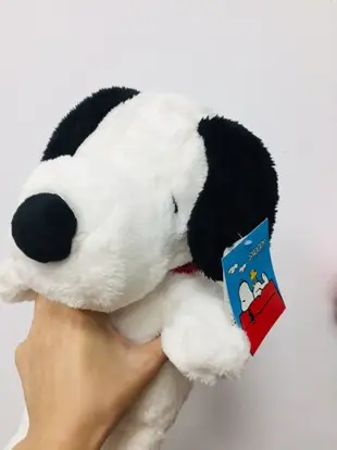 大賀屋 正版 史努比 娃娃 玩偶 公仔 玩具 兒童玩具 兒童抱枕 枕頭 SNOOPY 史奴比 T00120563