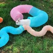 Funny Smal Pet Hamster Tunnel Cage Toy Ferrets Rat Playing Hide Tube for Indoor.