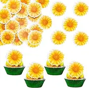 Gyufise 48Pcs Daisy Cupcake Toppers Rice Paper Chrysanthemum Chamomile Cupcake Picks for Spring Summer Baby Shower Wedding Birthday Party Cake Decorations Supplies Yellow