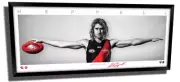 DYSON HEPPELL ESSENDON MINI WINGS OFFICIAL AFL PRINT SIGNED FRAMED MEMORABILIA