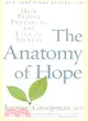 The Anatomy Of Hope ─ How People Prevail In The Face Of Illness