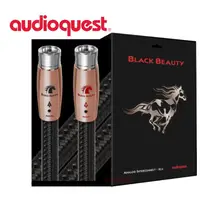 在飛比找蝦皮購物優惠-美國名線 Audioquest Black Beauty黑美