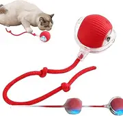 ARREBOL Interactive Rolling Cat Toys Ball Self Moving Pet Cat Toy Ball for Indoor, USB Charge Smart Play Ball for Small Dog