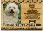 Cocker Spaniel Engraved Wood Picture Frame Magnet