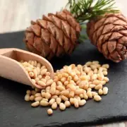 Buy 1kg Get 1kg Free! ORGANIC Natural Pine Nut Kernels Pine Best Quality