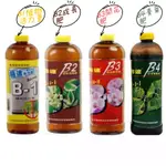 [劍龍植選] B1營養液 液肥 肥料 植物肥料 鹿角蕨肥料 觀葉植物肥料 液態肥 植物營養液 B-2 B-3 B-4