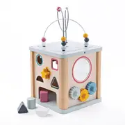 Bigjigs Toys FSC Wooden Activity Toddler Toy