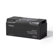 Renogy 12V 200Ah Pro Deep Cycle Lithium Iron Phosphate Battery w/Bluetooth