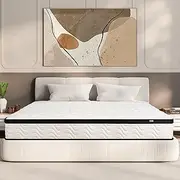 [MOLBIUS] Queen Mattress 10 Inch | Queen Size Hybrid Mattresses in a Box | Medium Firm Feel Memory Foam and Individual Pocket Springs | Fiberglass Free Bed Matress | Breathable | CertiPUR-US | Upgrade