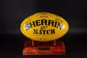 BASKETBALL/NETBALL/SOCCER/AFL BALL TROPHY DISPLAY STAND