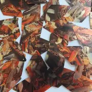 Sequin Long Diamond 1.75" Orange Silver Bird Feathers Print Metallic