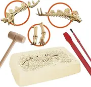 EXPLORA SCIENCES- EXPLORA Paleontologist Stegosaur-Paleonthology-039397-Realistic Model of 15 pieces-16 cm-Discovery Kit from 6 Years, 039397
