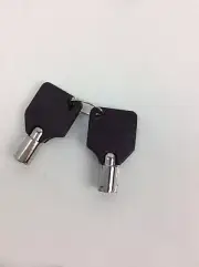 A Pair Of 2 EC E235 Locking Switch Keys 2 Per Chain NEW