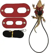 BESPORTBLE Lizard Harness and Traction Rope for Reptiles Lightweight and Chest Leash for Pets Safe and Portable Black Red