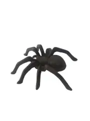Mr Gecko Spider Statue Cast Iron Antique Black Paper Weight Wall Hanging