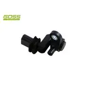 RAE Crankshaft Position Sensor - SC454