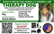 Holographic Therapy Dog ID w/QR Code & ID Holder Plus Digital Copy-Landscape