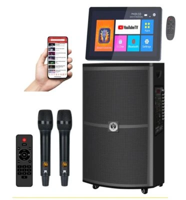 Singtronic Professional DSP Karaoke Speaker System w/ Mics + KTV USB Player