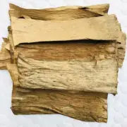 Dried Banana Leaf Anti Bacteria Relieve stress Fish Aquarium Betta Shrimp Clean