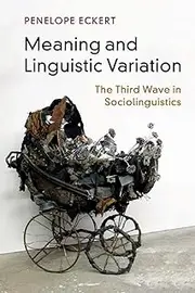 Cambridge Meaning and Linguistic Variation : The Third Wave in Sociolinguistics Book - Paperback - 05 July 2018