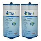 Pool & Spa Filter Cartridge 2-pk | Replacement for Jacuzzi 6540-723, Pleatco ...