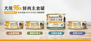 毛家人-【12罐】汪喵星球犬用FANTASTIC 95%鮮肉無膠主食罐【田園火雞/鱉蛋雞肉】165克,鮮肉罐,機能罐