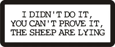 3 - I Didn't Do It, You Can't Prove It Hard Hat / Biker Helmet Sticker BS213