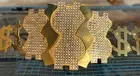 Million Dollar Man Championship Belt Wwe Replica Gold Wrestling