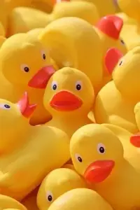 在飛比找博客來優惠-Journal: Yellow Rubber Ducks