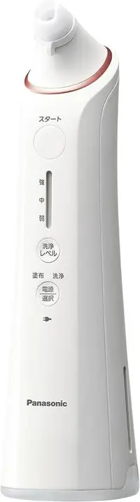 在飛比找露天拍賣優惠-【代訂】全新品Panasonic 國際牌 EH-SP55 P