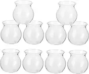 MOBUTOFU 10pcs Eco Bottle Micro Landscape Container Hydroponic Plant Pots Transparent Vessel Moss Vessel Planting Pot Decorative Vessel Plastic Plant Container DIY Plastic Vessel
