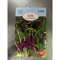 在飛比找蝦皮購物優惠-【醬米資材899免運】紅莧菜 莧菜 葉菜種子  種子  DI