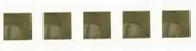 GLEAVI 5pcs Viewing Film Card Detector Field Paper Teaching Aid for Science Projects