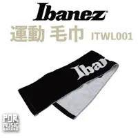 在飛比找蝦皮購物優惠-【搖滾玩家樂器】全新公司貨 Ibanez Logo 日本製 