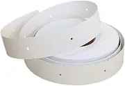 COHEALI 1 Roll Blank Hangtag White Tags for DIY Crafts Fashion Retailers Designs Hard Card with Hanging for Clothing Labels