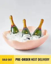 Maya Resin Champagne Bucket - Blossom