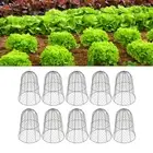 Black Garden Chicken Wire Cloche Plant Protector 10 Pack Thickened Cover